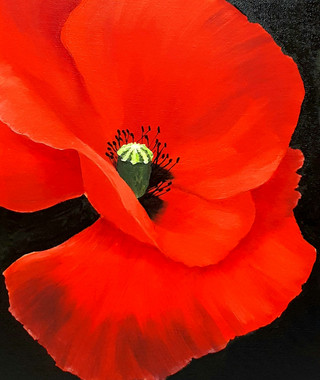 2020-10-16 17-32-00_1603027467321