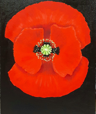 2020-10-16 17-32-25_1603027463264