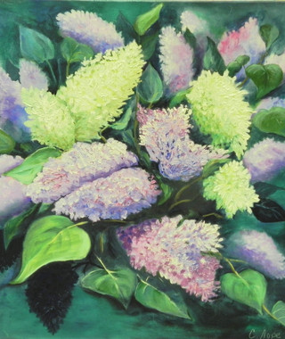 ДАР-СТУДИЯ 17-18 (1048)